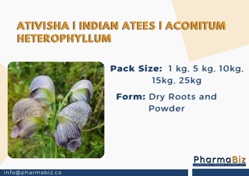 Ativisha | Indian Atees | Aconitum Heterophyllum