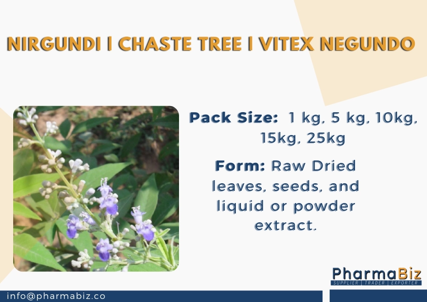 Nirgundi | Chaste tree  | Vitex Negundo