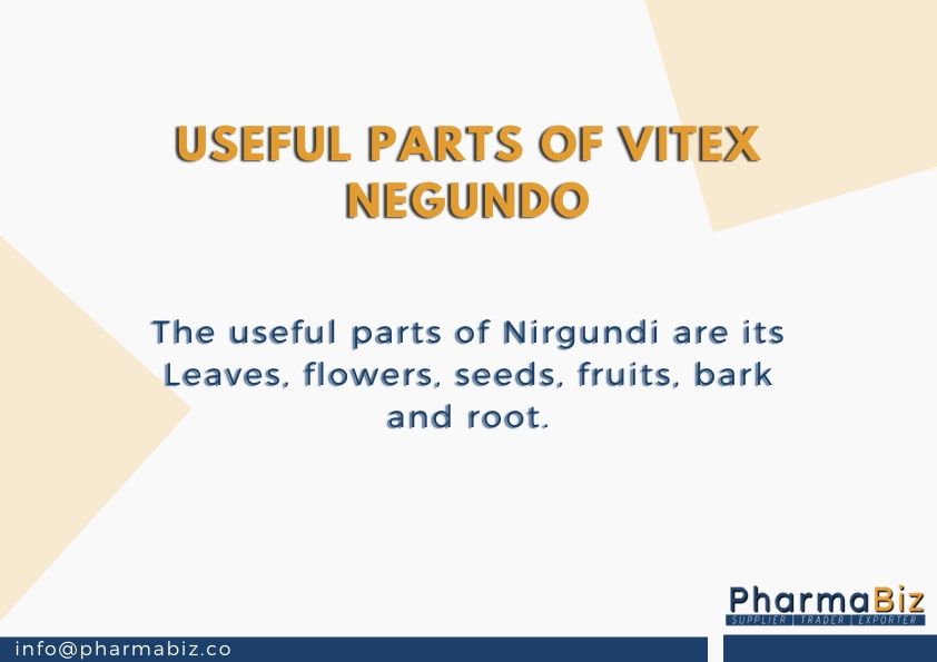 Nirgundi | Chaste tree  | Vitex Negundo